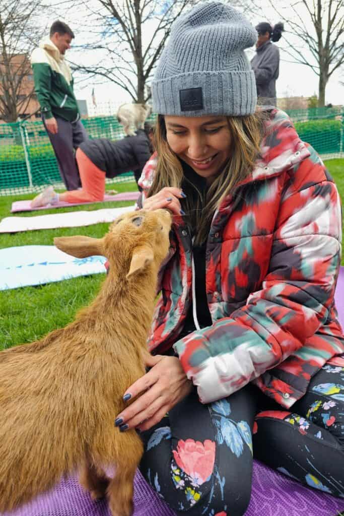 Baby Goat Yoga